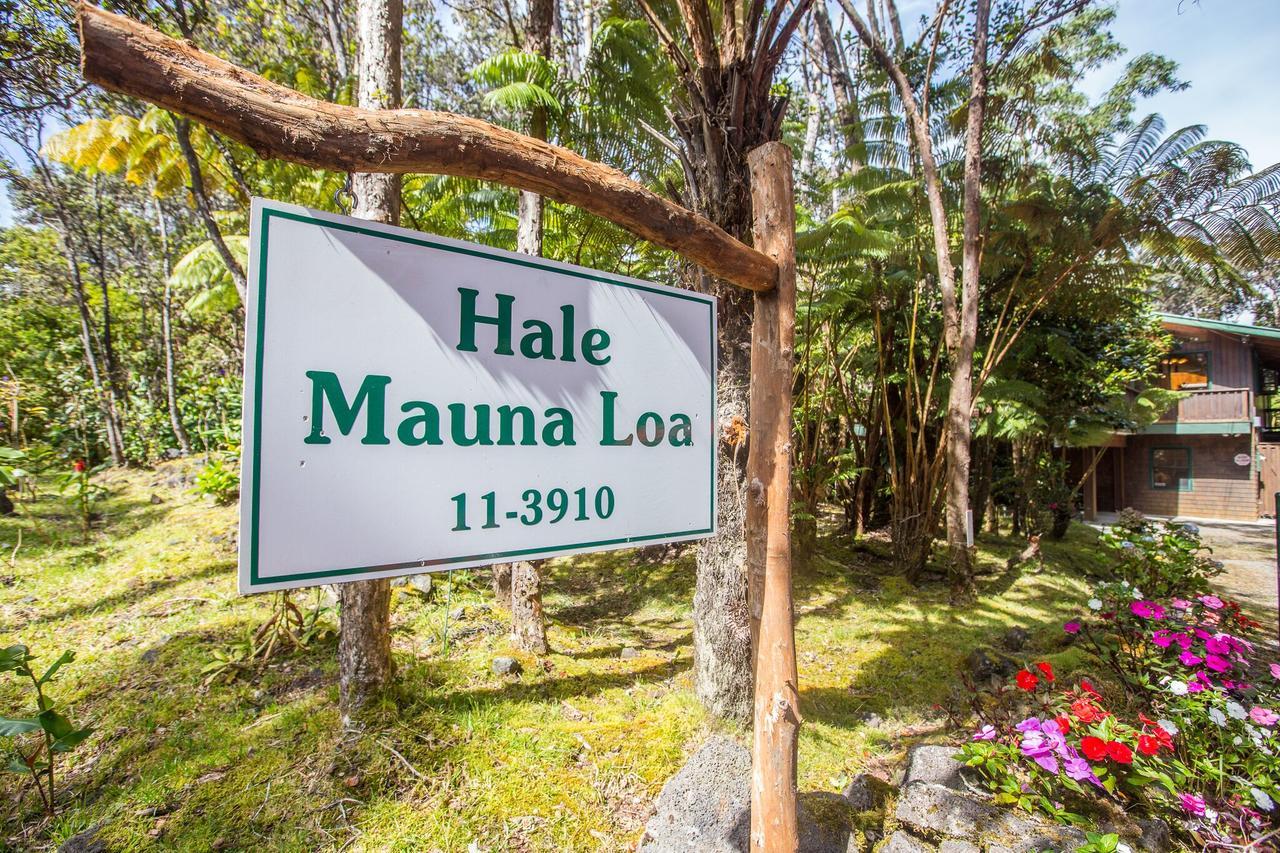 Hale Mauna Loa Upper Level With Shared Hot Tub فولكانو المظهر الخارجي الصورة