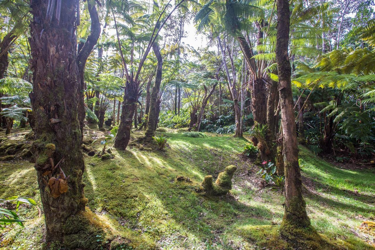 Hale Mauna Loa Upper Level With Shared Hot Tub فولكانو المظهر الخارجي الصورة